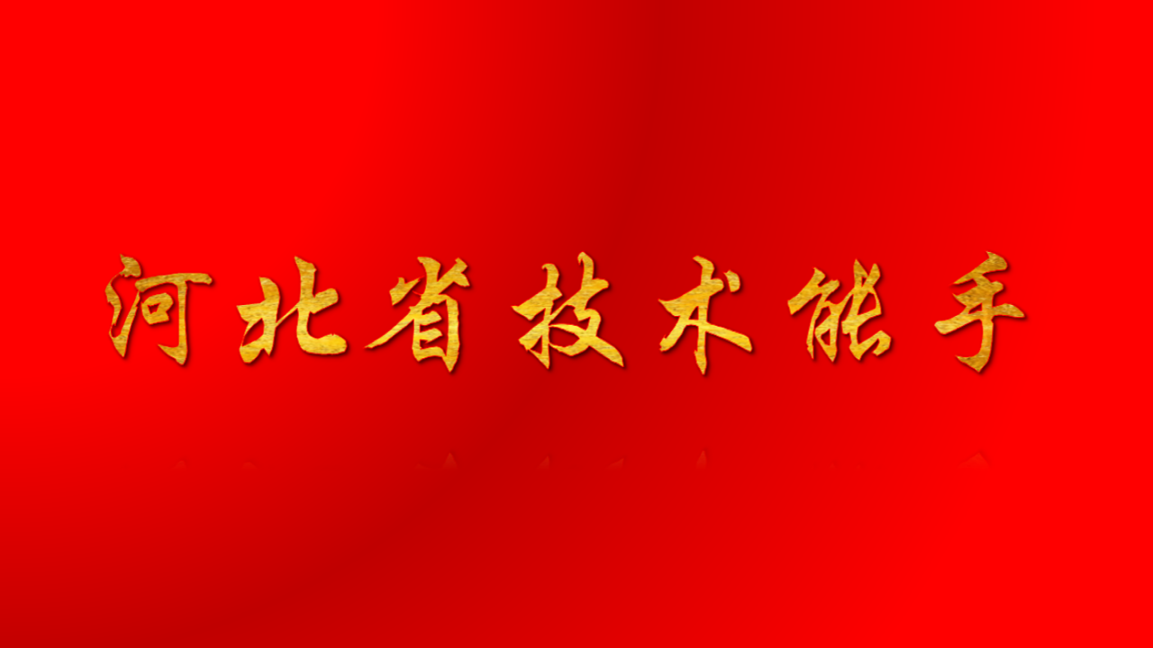 河北省技术能手