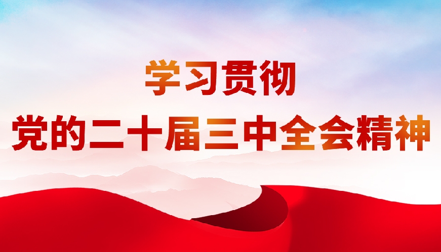 学习贯彻党的二十届三中全会精神